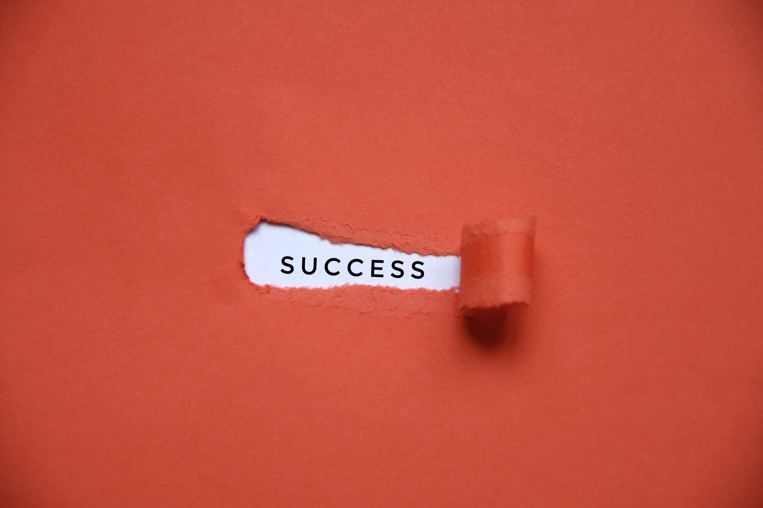 From Strategy to Success: How Sumner Group Turns Your Marketing Challenges into Opportunities