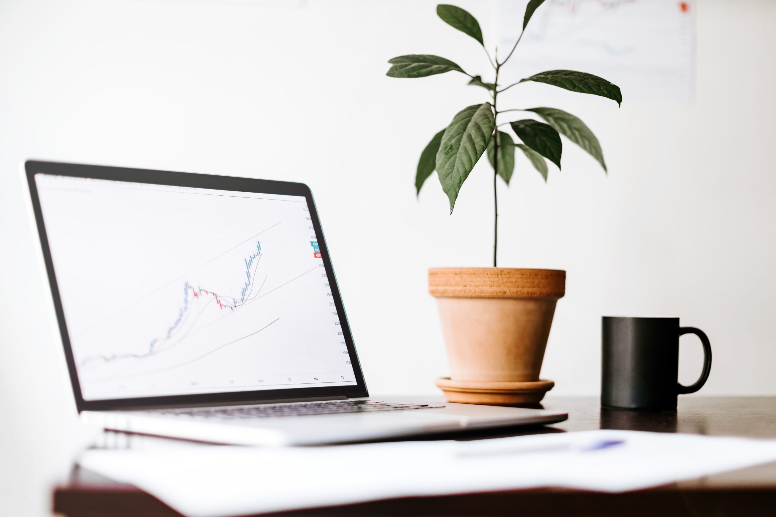 Why Businesses Thrive Faster with Professional Advertising Expertise from Sumner Group